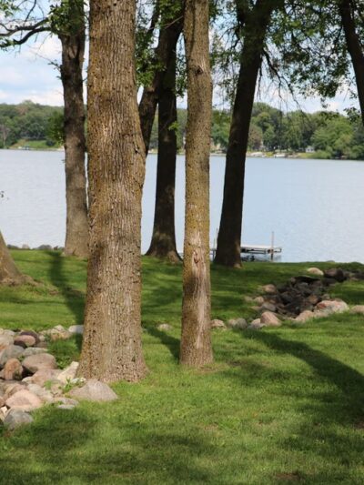 Lake Allie County Park - Buffalo Lake, MN