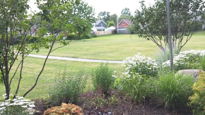 Brookdale Park - Buffalo, NY