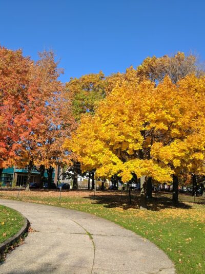Days Park - Buffalo, NY