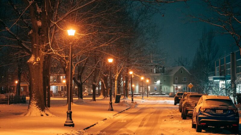 Days Park - Buffalo, NY