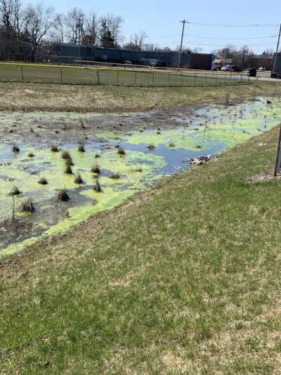 Dellwood Park - Buffalo, NY
