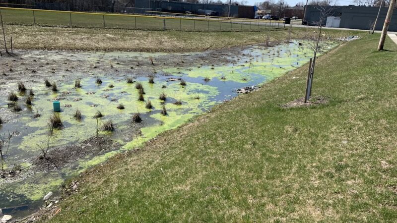 Dellwood Park - Buffalo, NY