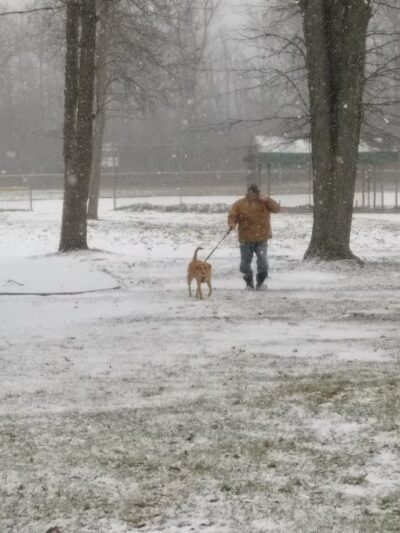 Dellwood Park - Buffalo, NY