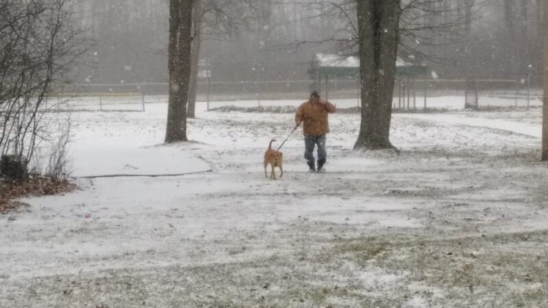 Dellwood Park - Buffalo, NY
