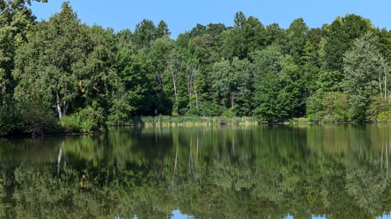 Lakeside Bike Park - Buffalo, NY