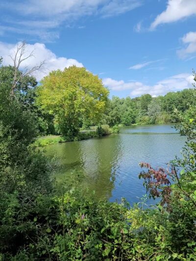 Lakeside Bike Park - Buffalo, NY