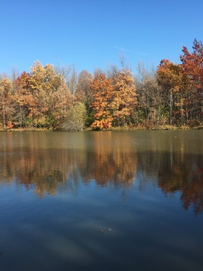 Lakeside Bike Park - Buffalo, NY