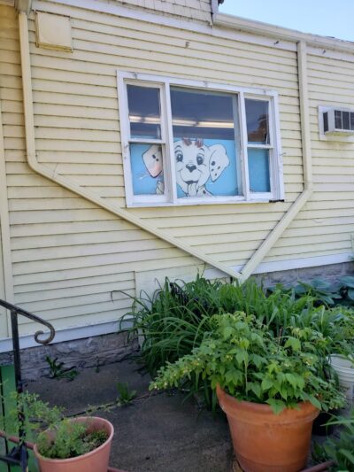 Puppy Playpen - Buffalo, NY