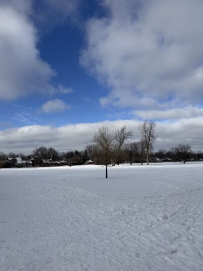 Saratoga Hill Park - Buffalo, NY