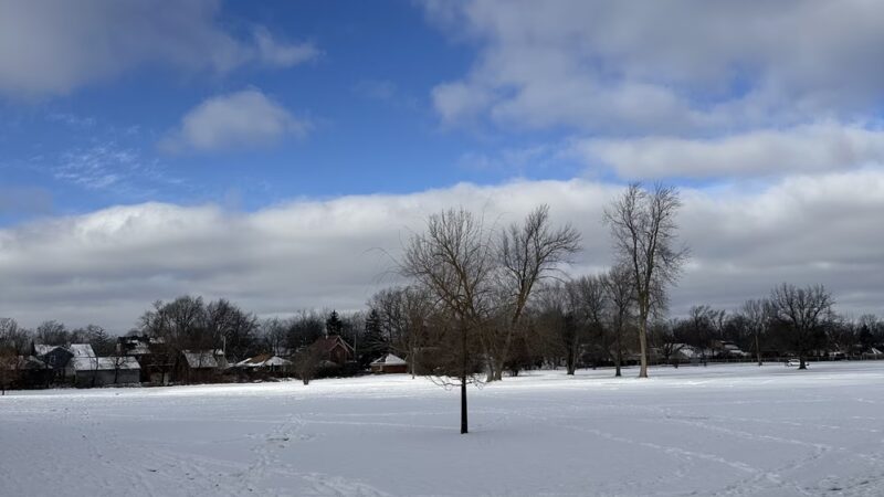 Saratoga Hill Park - Buffalo, NY