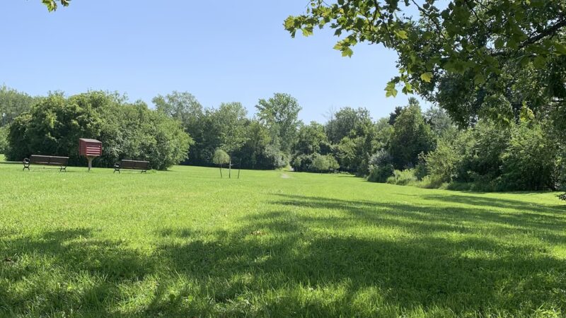 Saratoga Hill Park - Buffalo, NY