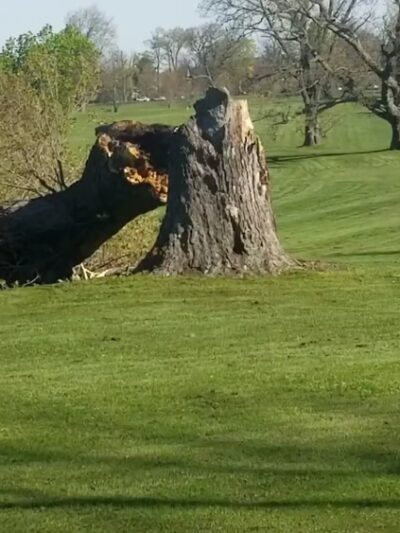 Shoshone Park - Buffalo, NY