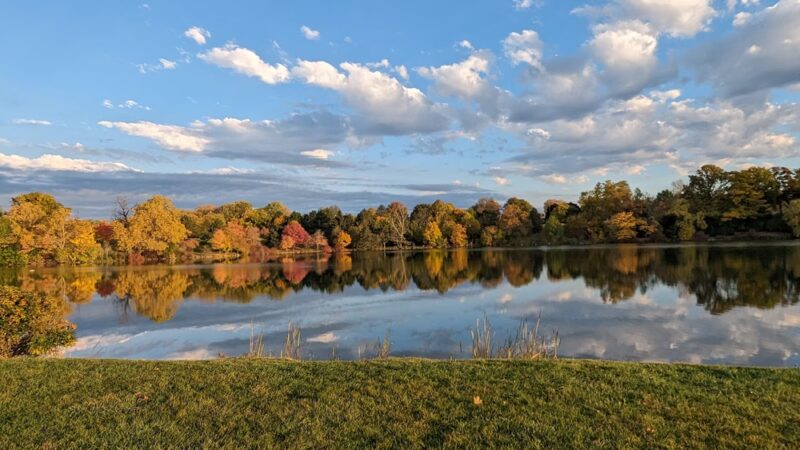 Shoshone Park - Buffalo, NY