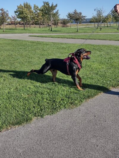 Sloan Village Park - Buffalo, NY