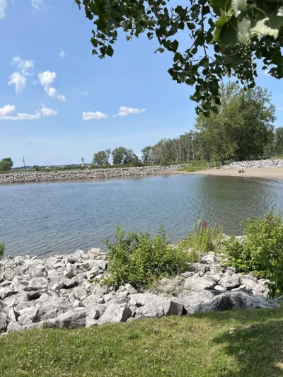 Walton Woods Park - Buffalo, NY