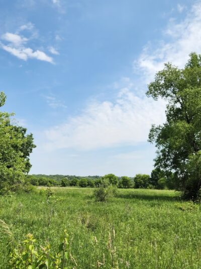 Boone Creek Conservation Area - Bull Valley, IL