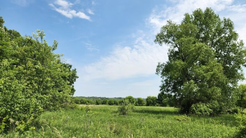 Boone Creek Conservation Area - Bull Valley, IL