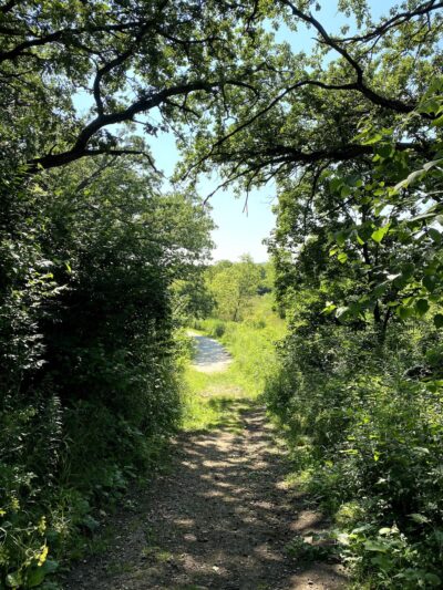 Boone Creek Conservation Area - Bull Valley, IL