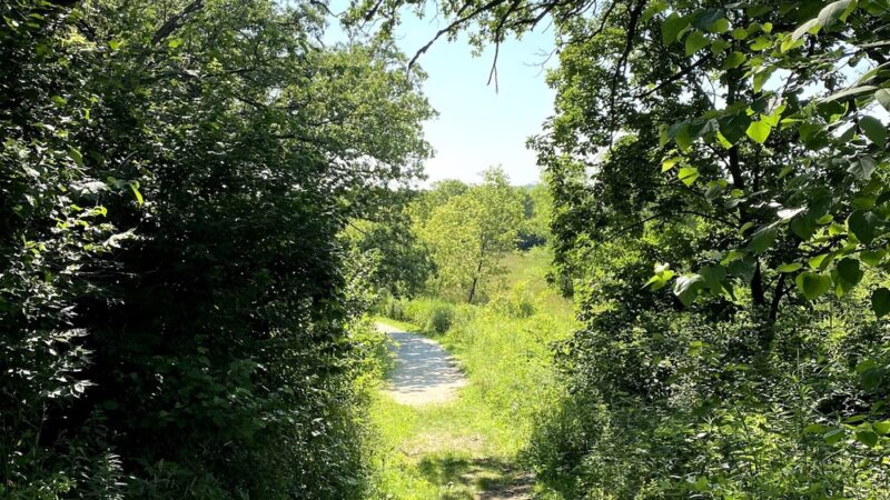 Boone Creek Conservation Area - Bull Valley, IL