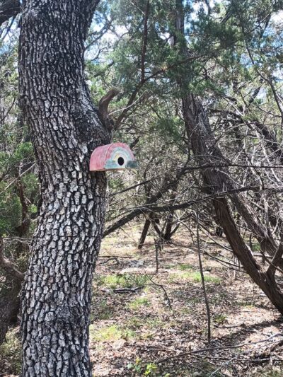 Kleck Park - Bulverde, TX
