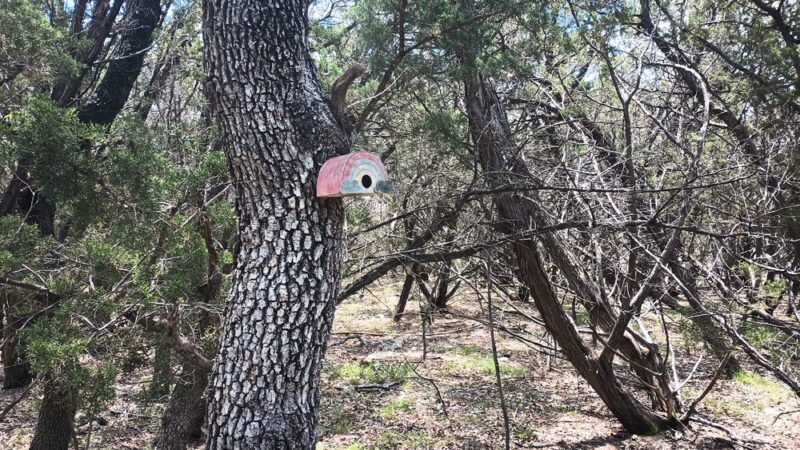 Kleck Park - Bulverde, TX