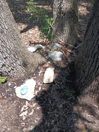Kleck Park - Bulverde, TX