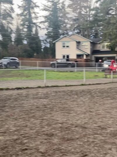 Burien Off Leash Dog Park - Burien, WA