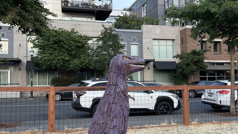 Burien Small Dog Park - Burien, WA