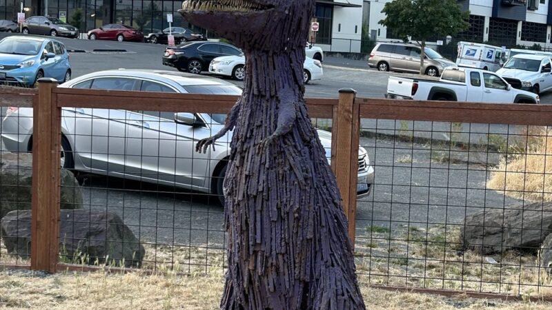 Burien Small Dog Park - Burien, WA