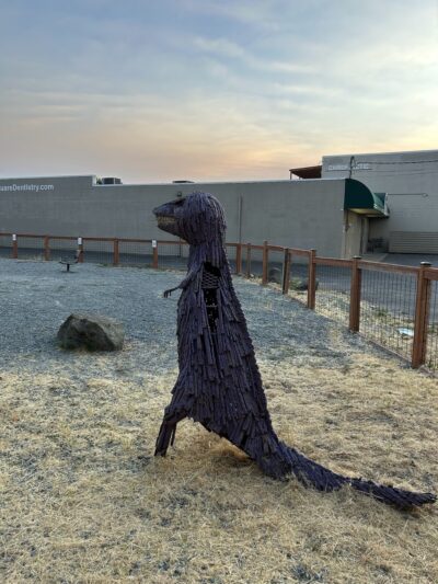 Burien Small Dog Park - Burien, WA