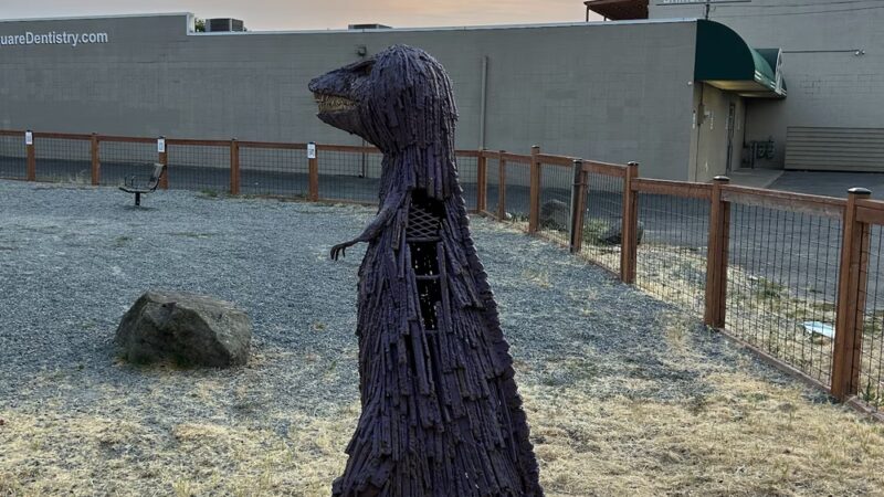 Burien Small Dog Park - Burien, WA