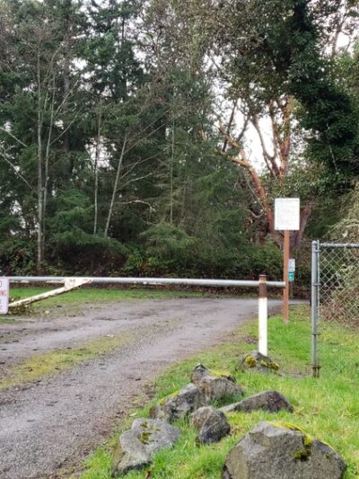 Salmon creek ravine - Burien, WA
