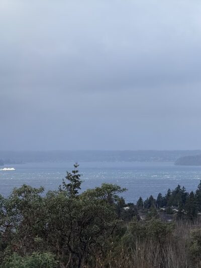 Salmon creek ravine - Burien, WA