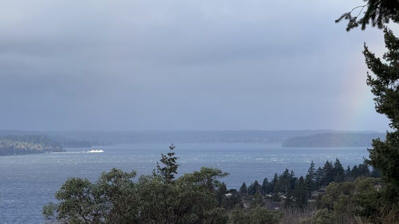 Salmon creek ravine - Burien, WA