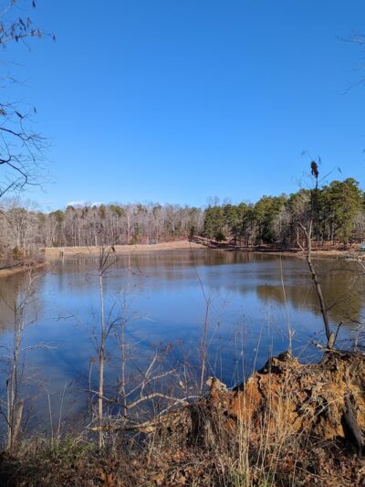 Prince Edward-Gallion State Forest - Burkeville, VA