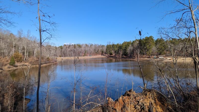 Prince Edward-Gallion State Forest - Burkeville, VA