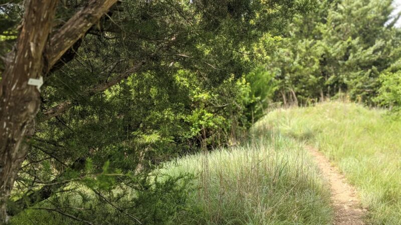Chisenhall Mtb Trailhead - Burleson, TX