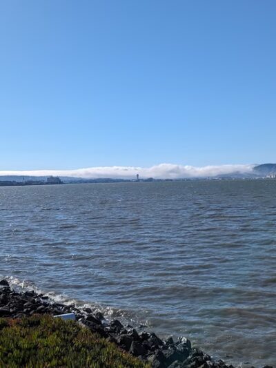 Burlingame Dog Exercise Park - Burlingame, CA