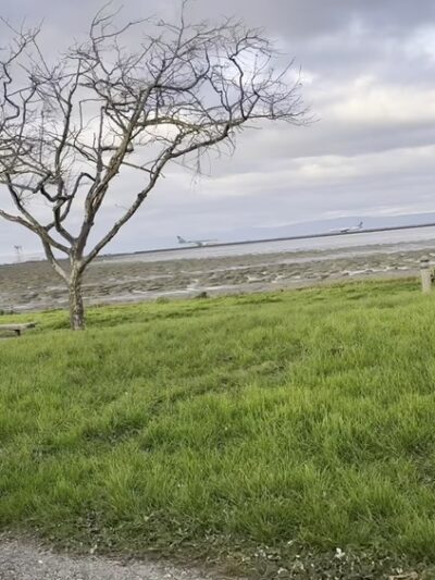 Burlingame Dog Exercise Park - Burlingame, CA