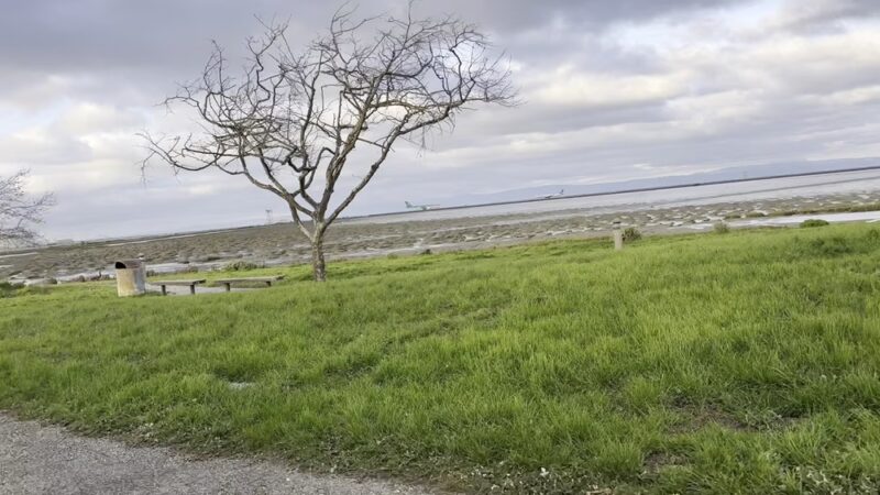 Burlingame Dog Exercise Park - Burlingame, CA