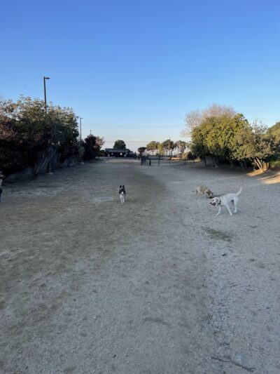 Burlingame Dog Exercise Park - Burlingame, CA