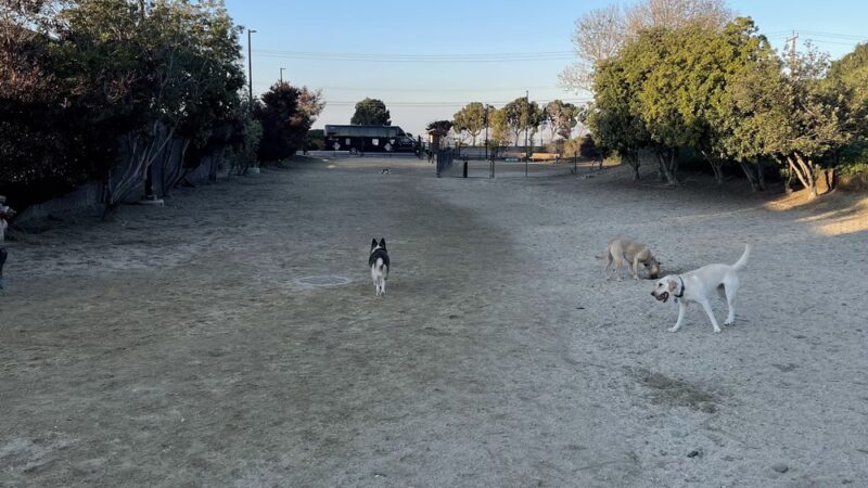 Burlingame Dog Exercise Park - Burlingame, CA
