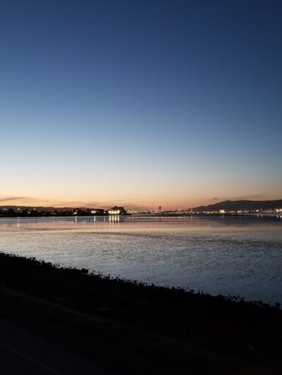 Burlingame Dog Exercise Park - Burlingame, CA