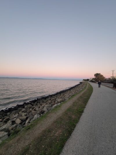 Burlingame Dog Exercise Park - Burlingame, CA