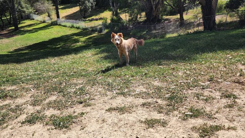 Skyline Park - Burlingame, CA