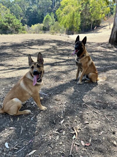 Skyline Park - Burlingame, CA