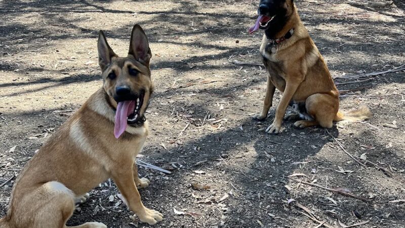 Skyline Park - Burlingame, CA