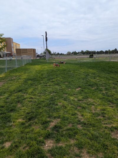 Dog Park at Love's Travel Stops - Burlington, CO