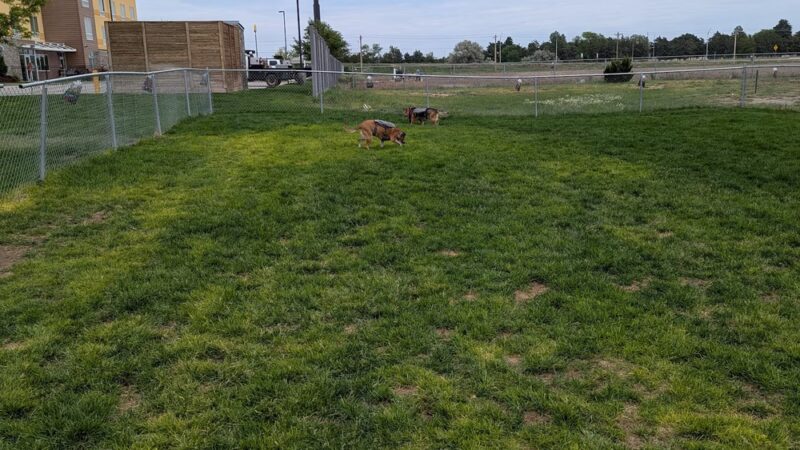 Dog Park at Love's Travel Stops - Burlington, CO