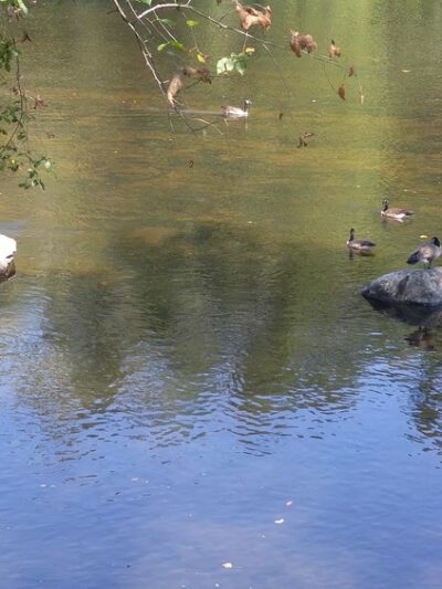 Farmington River Trail Parking Lot - Burlington, CT